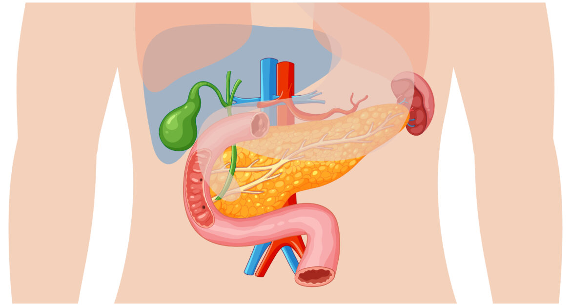 Gallbladder Cancer: What You Should Know