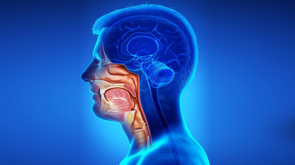 Head and Neck Cancer Treatment: Cancer Hospital in Ahmedabad