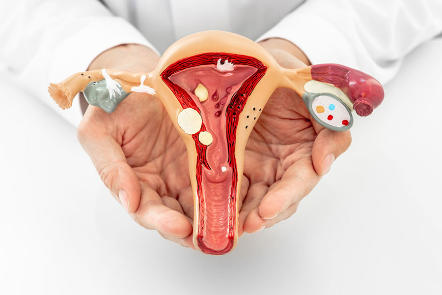 Gynec Cancer Surgeon in Ahmedabad