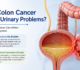 Can Colon Cancer cause Urinary Problems?